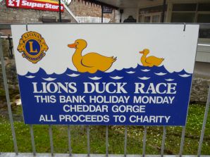 Duck Race Banner Board