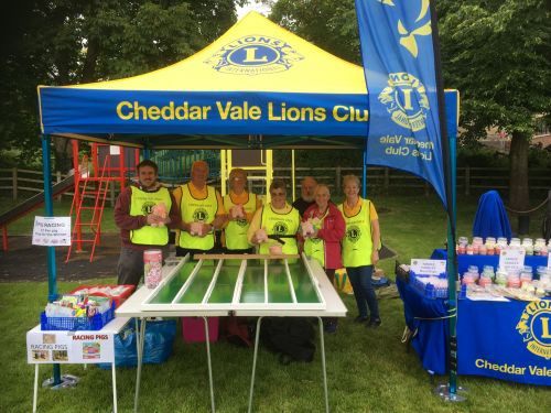 Pig Racing Set up at Brent Knoll Fete