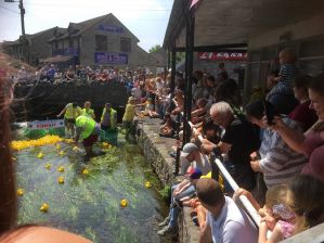 Finish of the First Race 2018 Finish of the First Race 2018