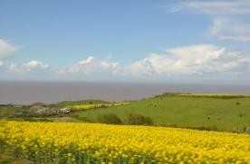 Coastline towards Watchet